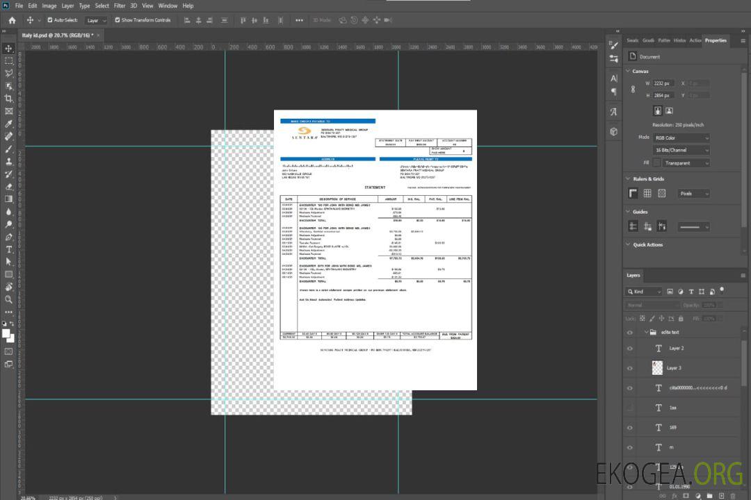 Relevé de facturation du Sentara Pratt Medical Group aux États-Unis template Relevé de facturation du Sentara Pratt Medical Group aux États-Unis template